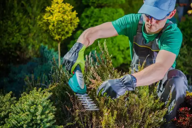 landscaping services Rock Hill